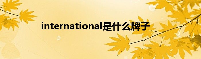 international是什么牌子