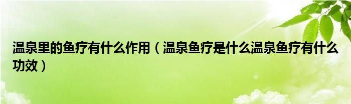 温泉里的鱼疗有什么作用（温泉鱼疗是什么温泉鱼疗有什么功效）