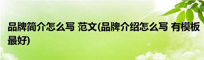 品牌简介怎么写 范文(品牌介绍怎么写 有模板更好)