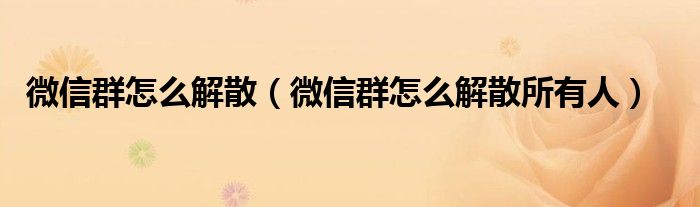 微信群怎么解散（微信群怎么解散所有人）