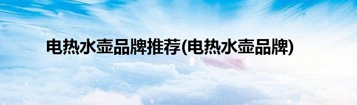 电热水壶品牌推荐(电热水壶品牌)