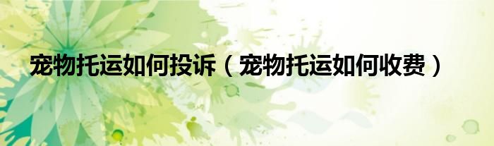 宠物托运如何投诉（宠物托运如何收费）