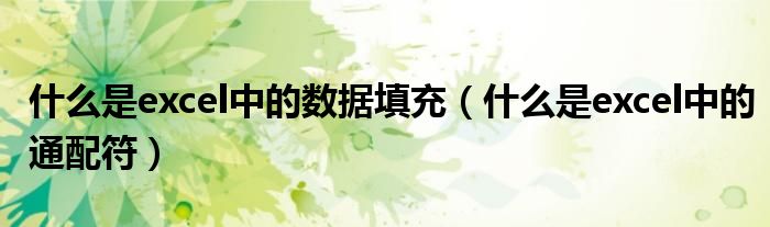 什么是excel中的数据填充（什么是excel中的通配符）