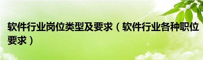 软件行业岗位类型及要求（软件行业各种职位要求）