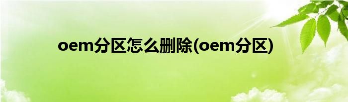 oem分区怎么删除(oem分区)
