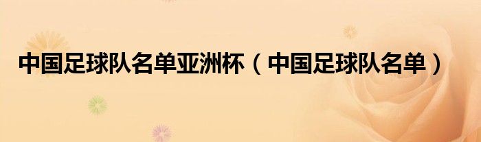 中国足球队名单亚洲杯（中国足球队名单）
