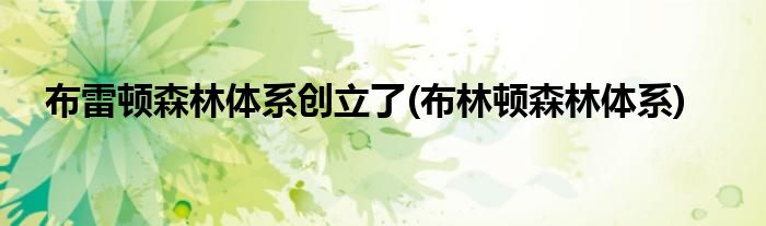 布雷顿森林体系创立了(布林顿森林体系)