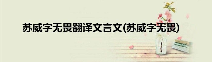 苏威字无畏翻译文言文(苏威字无畏)