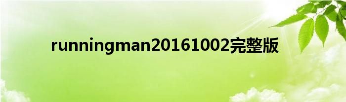 runningman20161002完整版