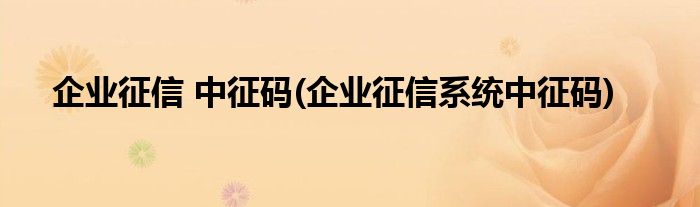企业征信 中征码(企业征信系统中征码)