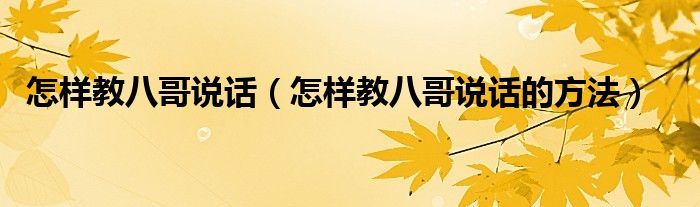 怎样教八哥说话（怎样教八哥说话的方法）