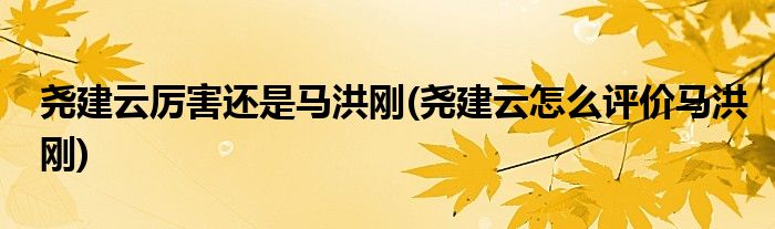 尧建云厉害还是马洪刚(尧建云怎么评价马洪刚)