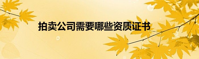 拍卖公司需要哪些资质证书