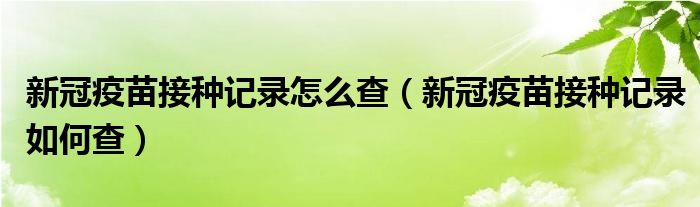 新冠疫苗接种记录怎么查（新冠疫苗接种记录如何查）