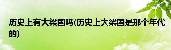 历史上有大梁国吗(历史上大梁国是那个年代的)