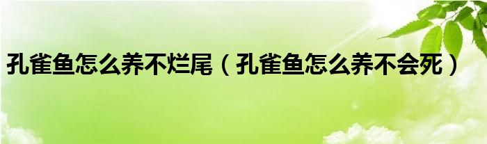 孔雀鱼怎么养不烂尾（孔雀鱼怎么养不会死）