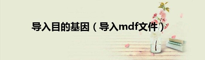 导入目的基因（导入mdf文件）