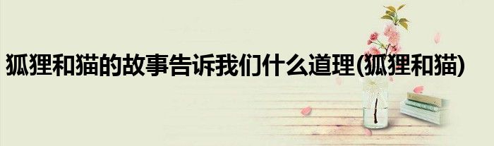 狐狸和猫的故事告诉我们什么道理(狐狸和猫)