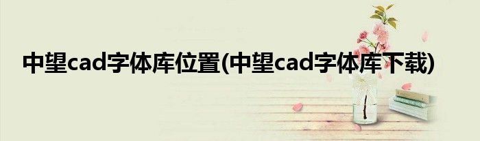 中望cad字体库位置(中望cad字体库下载)