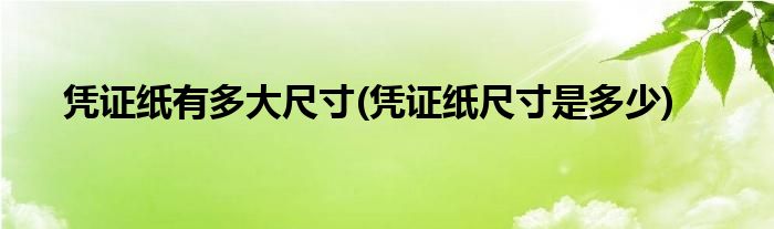凭证纸有多大尺寸(凭证纸尺寸是多少)