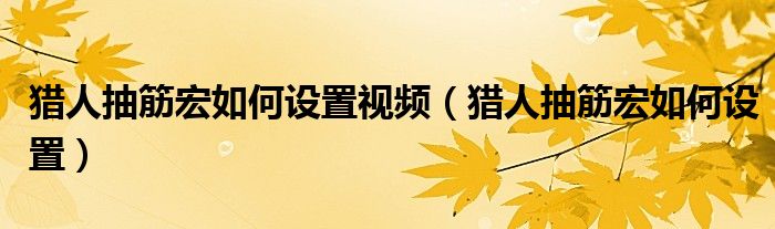 猎人抽筋宏如何设置视频（猎人抽筋宏如何设置）