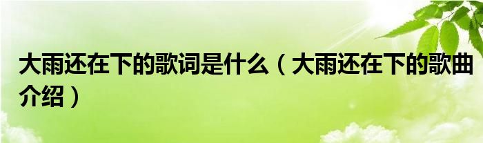 大雨还在下的歌词是什么（大雨还在下的歌曲介绍）