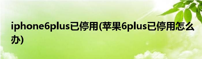 iphone6plus已停用(苹果6plus已停用怎么办)