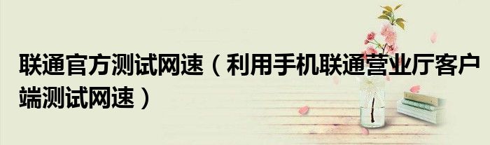 联通官方测试网速（利用手机联通营业厅客户端测试网速）