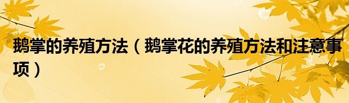 鹅掌的养殖方法（鹅掌花的养殖方法和注意事项）