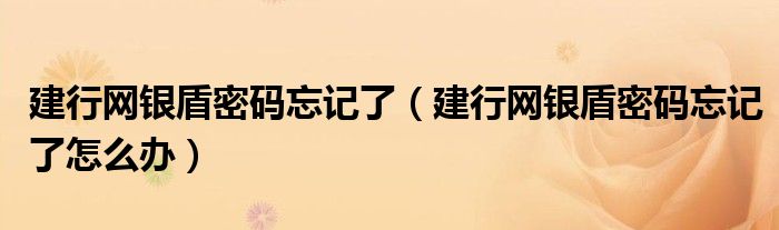 建行网银盾密码忘记了（建行网银盾密码忘记了怎么办）