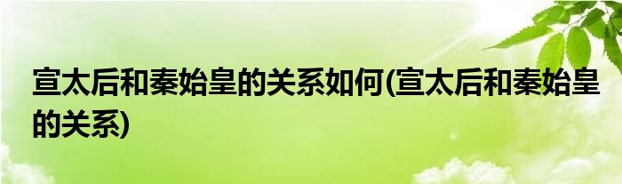 宣太后和秦始皇的关系如何(宣太后和秦始皇的关系)