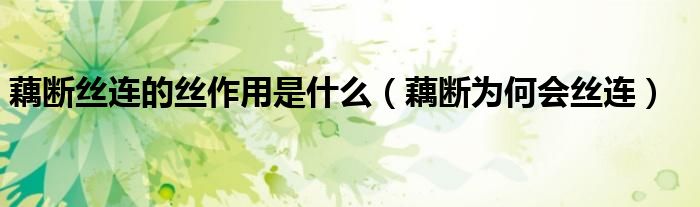 藕断丝连的丝作用是什么（藕断为何会丝连）