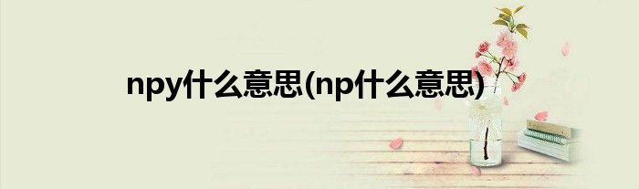 npy什么意思(np什么意思)