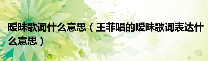 暧昧歌词什么意思（王菲唱的暧昧歌词表达什么意思）