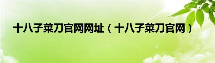 十八子菜刀官网网址（十八子菜刀官网）
