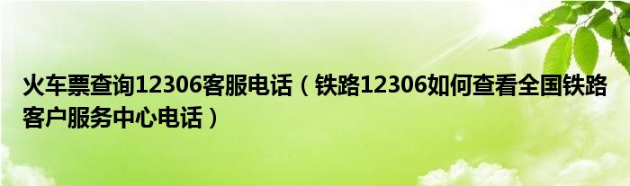 火车票查询12306客服电话（铁路12306如何查看全国铁路客户服务中心电话）