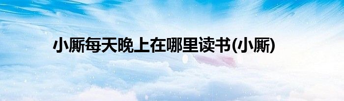 小厮每天晚上在哪里读书(小厮)