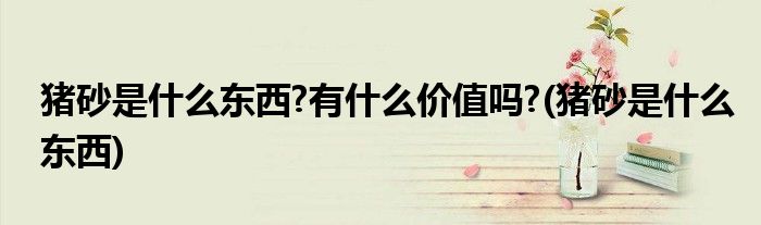 猪砂是什么东西?有什么价值吗?(猪砂是什么东西)