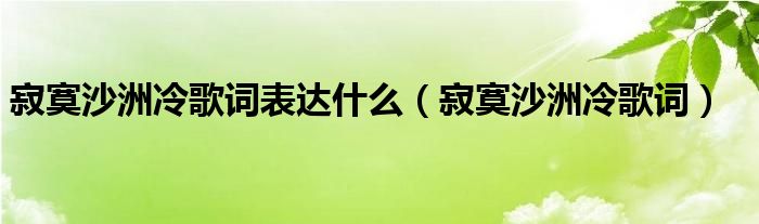 寂寞沙洲冷歌词表达什么（寂寞沙洲冷歌词）