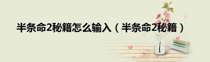 半条命2秘籍怎么输入（半条命2秘籍）