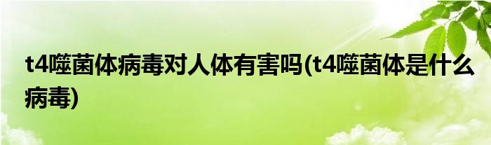 t4噬菌体病毒对人体有害吗(t4噬菌体是什么病毒)