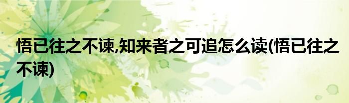 悟已往之不谏,知来者之可追怎么读(悟已往之不谏)