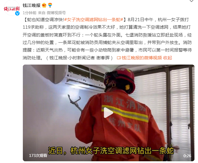 女子洗空调滤网钻出一条蛇是怎么回事，关于蛇是怎么钻进空调里的的新消息。