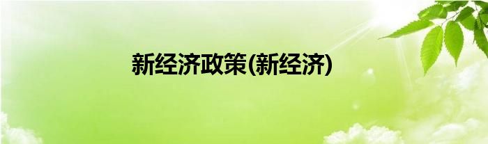 新经济政策(新经济)