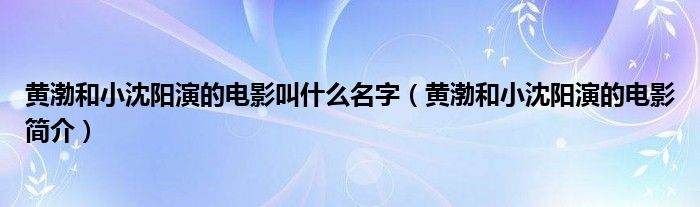 黄渤和小沈阳演的电影叫什么名字（黄渤和小沈阳演的电影简介）