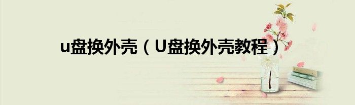 u盘换外壳（U盘换外壳教程）