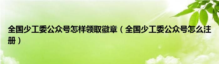 全国少工委公众号怎样领取徽章（全国少工委公众号怎么注册）