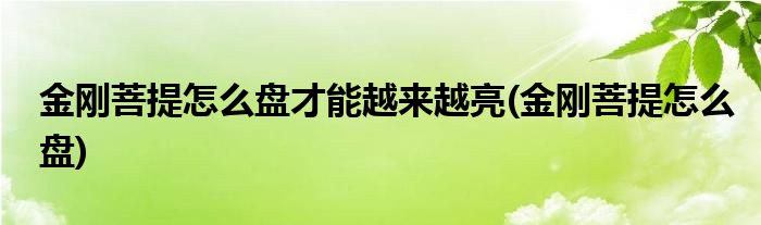 金刚菩提怎么盘才能越来越亮(金刚菩提怎么盘)