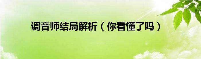 调音师结局解析（你看懂了吗）