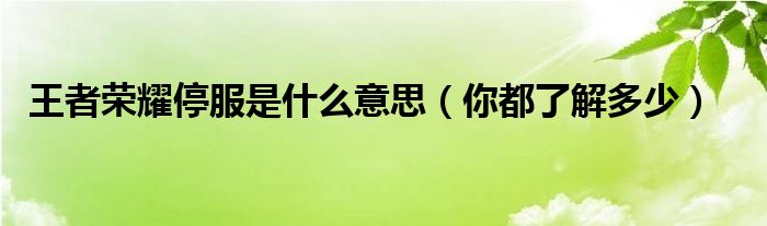 荣耀停服是什么意思（你都了解多少）